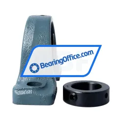 Asahi FGP207NG+ER rulman resim 2