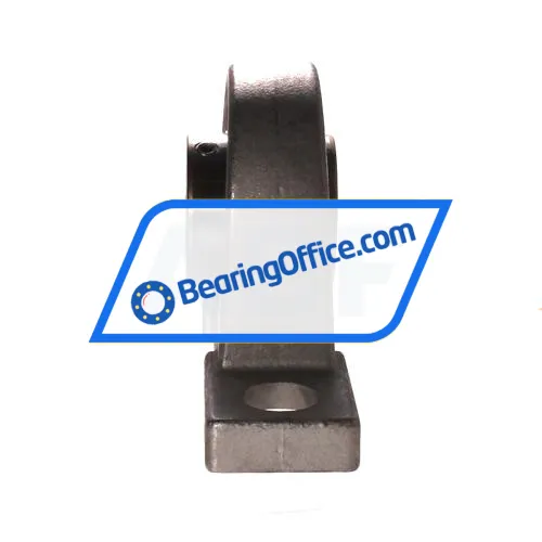 NSK F-UCPM206D0/LP99 bearing image 2