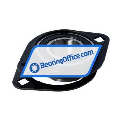 Asahi BPFL5 rulman resim 2