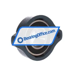 Asahi BLFL7J rulman resim 3