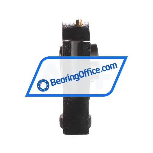 Witels Albert UCT207 bearing image 2