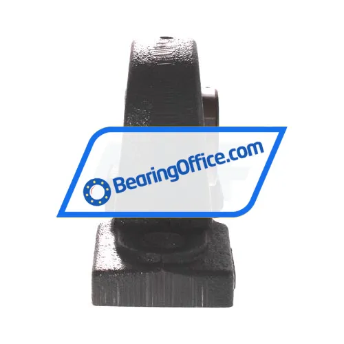 NSK UCPX05D1 AS3S5 bearing image 2