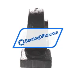 NSK UCPX05D1 AS3S5 rulman resim 2