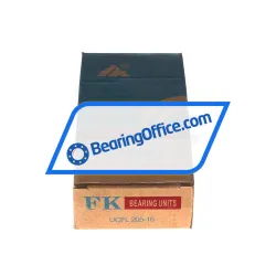 FK UCFL205-16 rulman resim 4