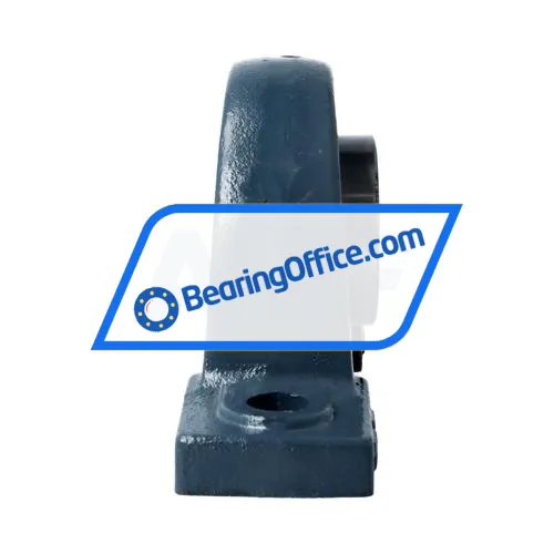 TR UCP211 bearing image 2