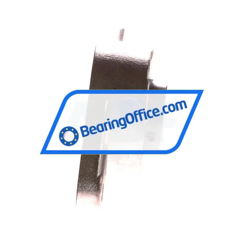 Keep Moving Long SBFL206 bearing image 3