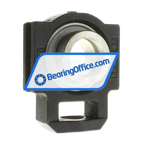 INA PTUE45 bearing image 2