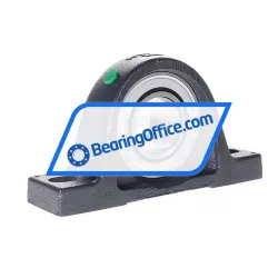 INA PASEY40-XL-N-I rulman resim 2