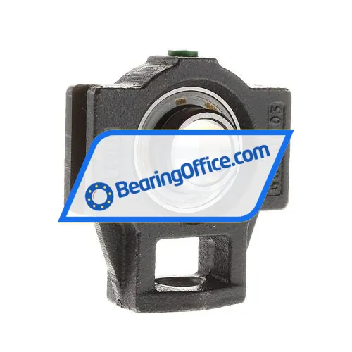 INA PTUEY25 bearing image 2