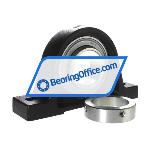 INA PASE60-N-FA106-I