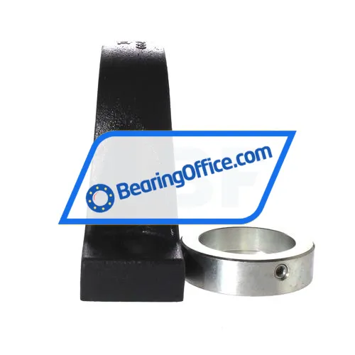 INA PASE60-N-FA106-I bearing image 2