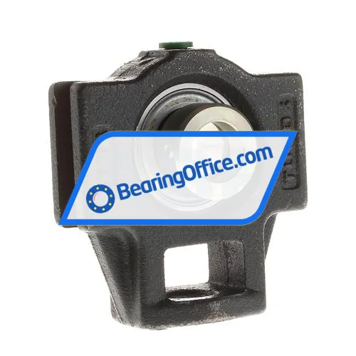 INA PTUE20 bearing image 2
