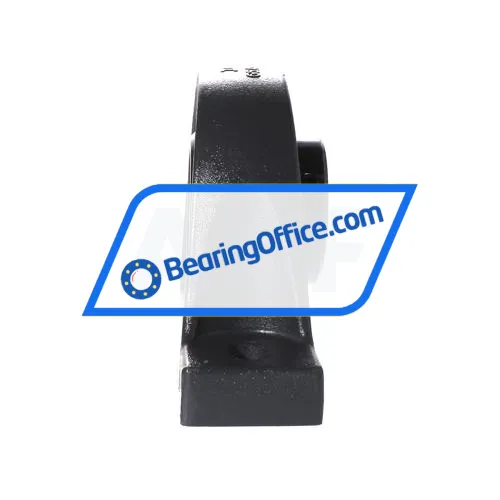 INA RASEY60-XL-N-I bearing image 2