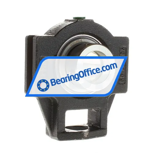 INA TTUE30 bearing image 2