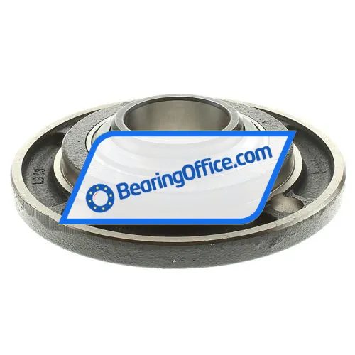 INA RMEY60-N bearing image 2