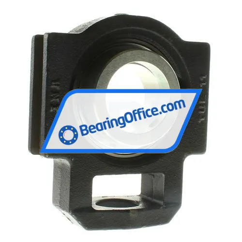 INA PTUE55 bearing image 2