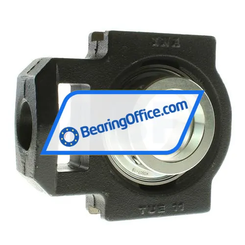 INA PTUE55 bearing image 3