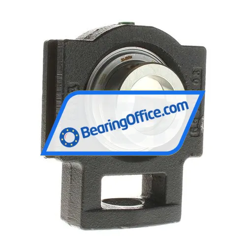 INA TTUE40 bearing image 2