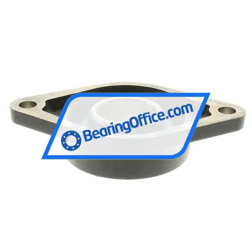 INA RCJT60-N bearing image 2