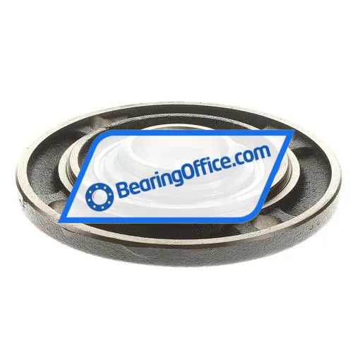 INA RFE45 bearing image 2