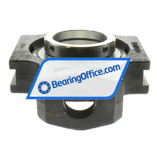 INA RTUE100 bearing image 2