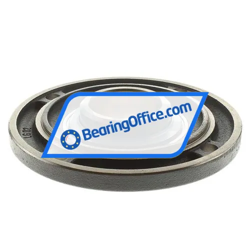 INA RFE60 bearing image 2