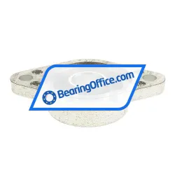 INA RCJT25-N-FA125 rulman resim 2