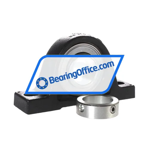 INA PASE40-N-FA106-I