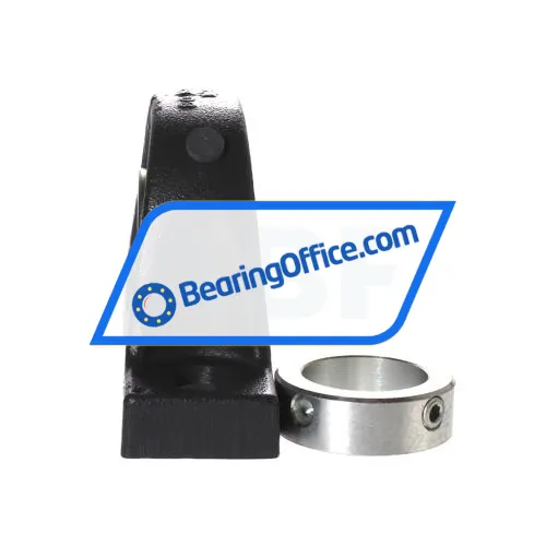 INA PASE40-N-FA106-I bearing image 2