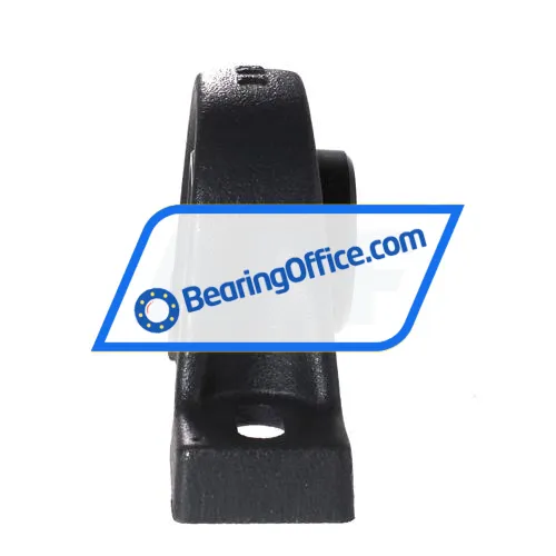 INA RASEY45 bearing image 2