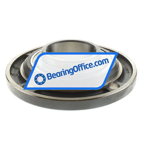 INA RMEY80 bearing image 2