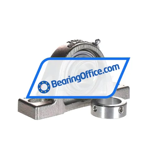 INA RASE25-N-FA125 bearing image 2