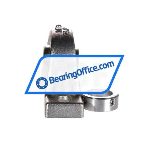 INA RASE25-N-FA125 bearing image 3