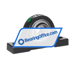 INA RASEY30-XL-N-I rulman resim 2