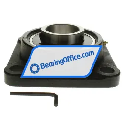 Felstrom UCF318 rulman resim 2