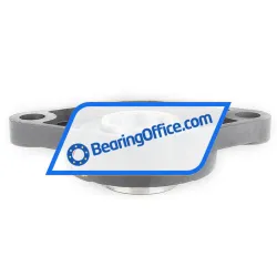 Felstrom UCFL318 rulman resim 3