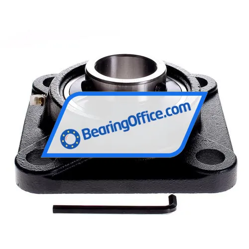 Felstrom UCF310 bearing image 2