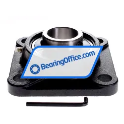 Felstrom UCF310 rulman resim 2