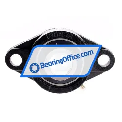 Felstrom UCFL308 rulman resim 3