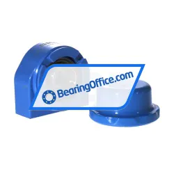 SKF P2BTC25M-CPSS-DFH