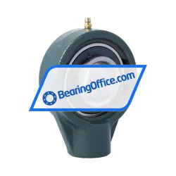 NSK UCHB207D1 AS3S rulman resim 2