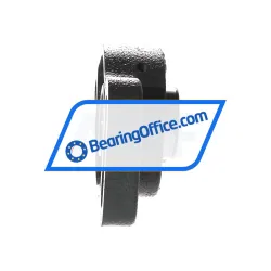 NSK UCFA205D1 rulman resim 2