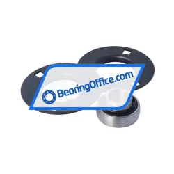 Asahi BPF204 rulman resim 2