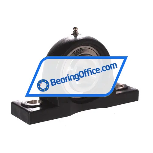 LDI SSUCP207PBT bearing image 2
