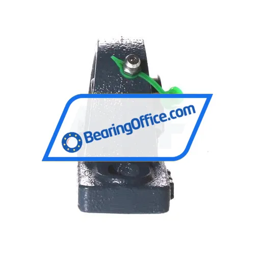 FBJ UCP203 bearing image 2