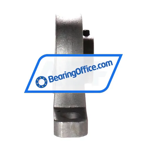 Neutral SSUCFL206P bearing image 2