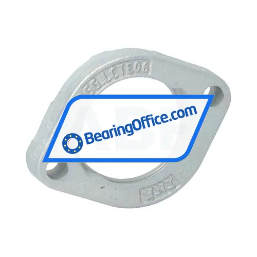 INA GEHGLCTE06-GG-FA125-1