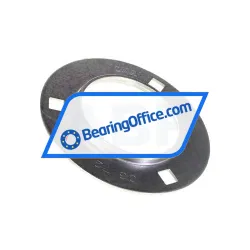 INA FLAN72-MSB-FA125 rulman resim 2