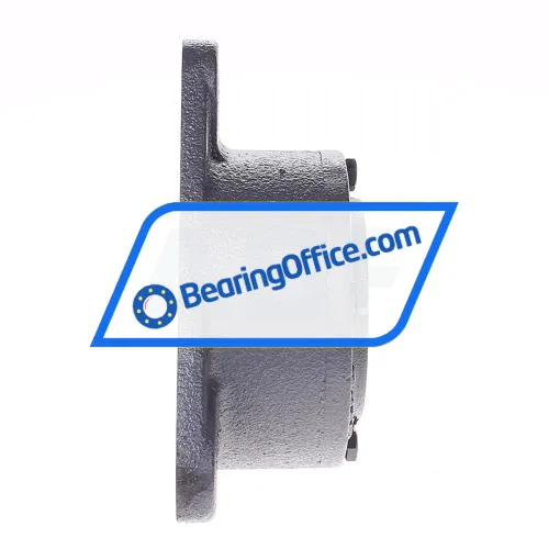FAG F11208 bearing image 2