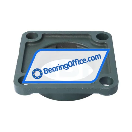 FK FX09 bearing image 2